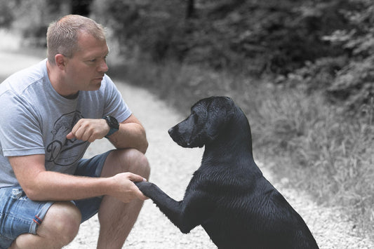 Was dein Hund schon kann – und wie du es beim Mantrailing entfaltest