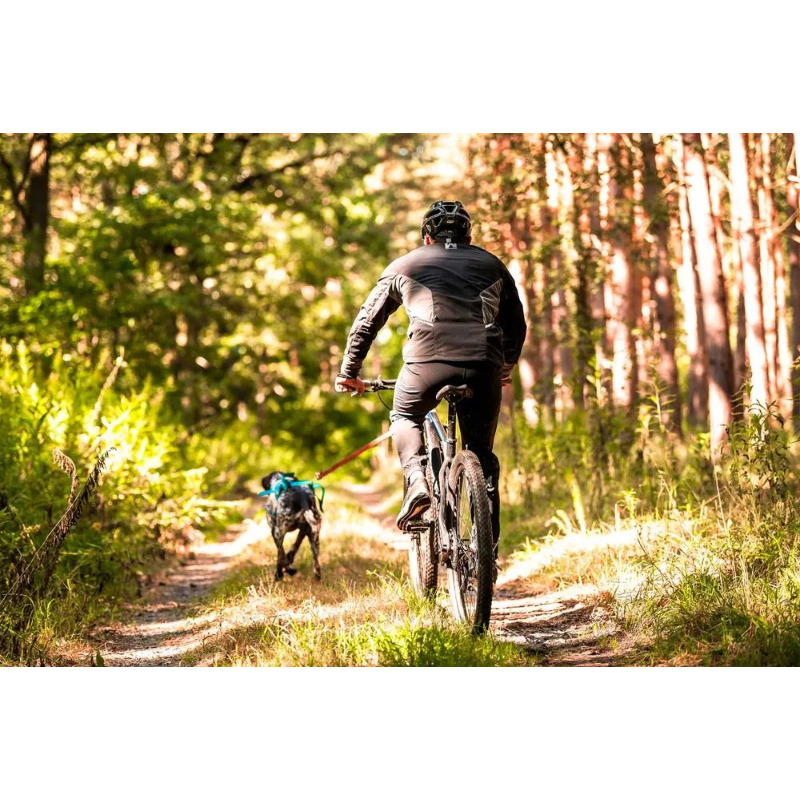 Radfahrer in schwarzer Non-Stop Dogwear Outdoor-Bekleidung fährt mit seinem Hund, der ein Zuggeschirr trägt, auf einem sonnigen Waldweg.