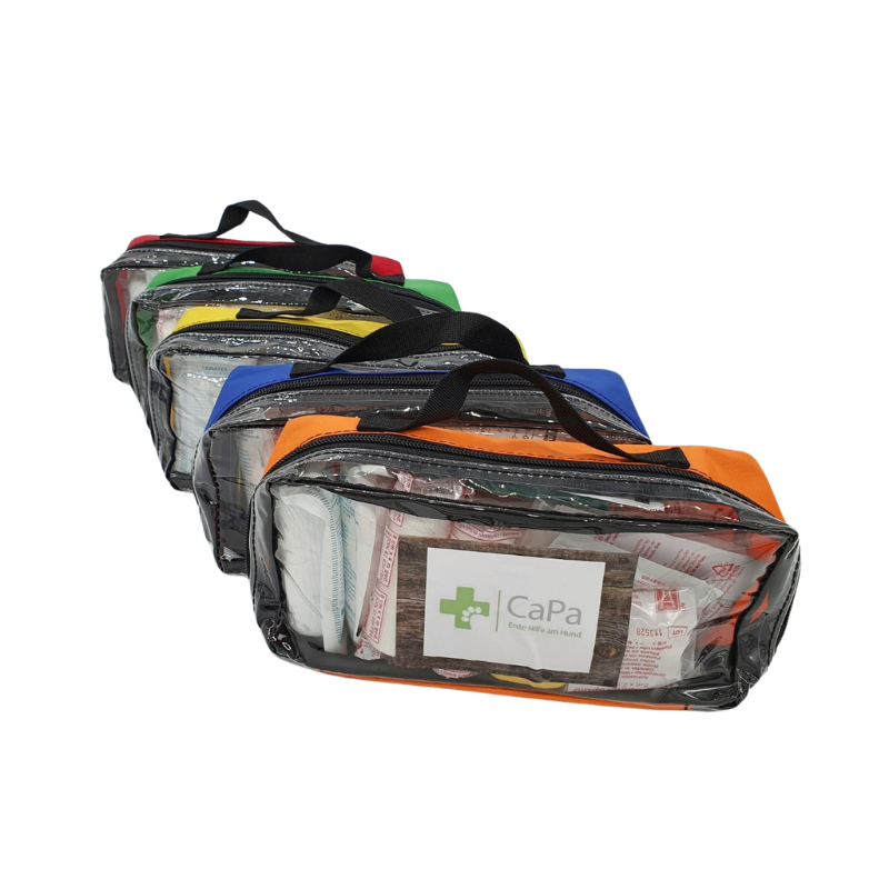 Kompaktes Erste-Hilfe-Set für Hunde in praktischer, transparenter Tragetasche mit Reißverschluss. Die Sets sind in verschiedenen Farben erhältlich (Orange, Blau, Gelb, Grün, Rot) und enthalten essenzielle medizinische Hilfsmittel wie Verbände, Pflaster und Desinfektionsmaterial. Ideal für unterwegs, im Auto oder für Mantrailing- und Rettungshunde-Teams.