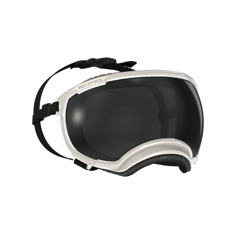 Rex Specs Hundebrille – V2 – Der ultimative Augenschutz für deinen Hund bei allen Abenteuern!