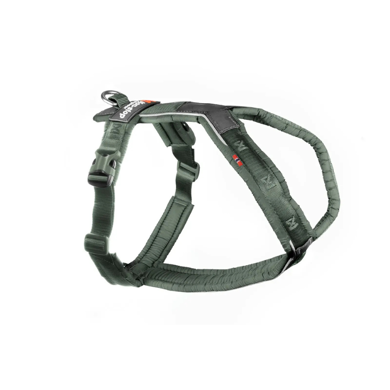 Grün Sportgeschirr für aktive Hunde mit robusten Schnallen, reflektierenden Nähten und einem stabilen Metallring für die Leine.
