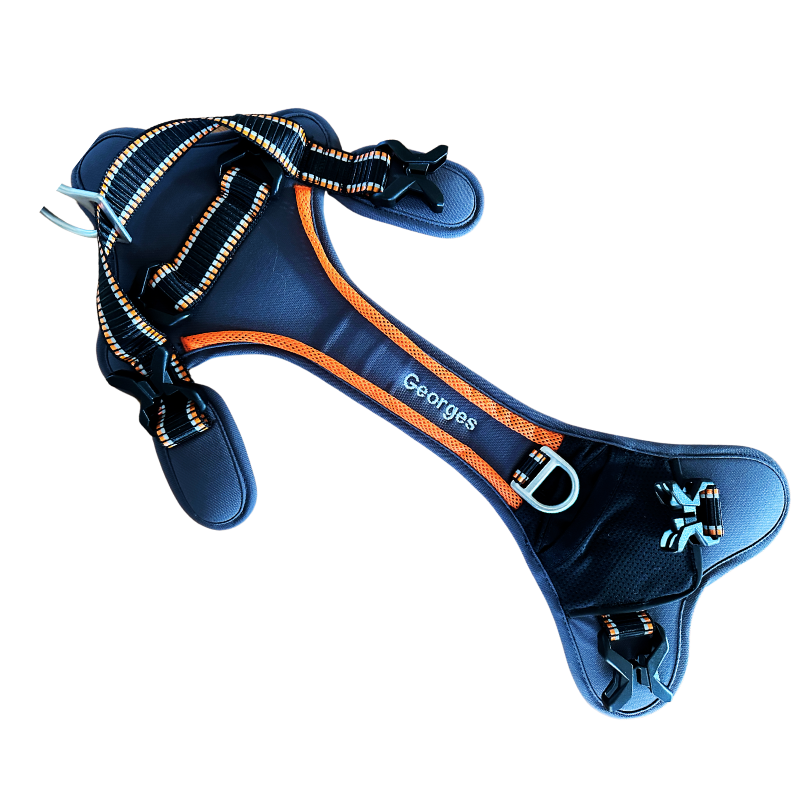 Hundegeschirr in grau mit orangen Details und eingesticktem Namen ‚Georges‘ – ergonomisch geformt für optimalen Tragekomfort.