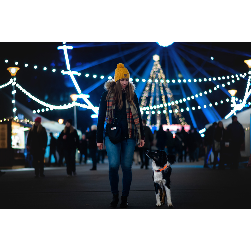 Frau geht mit ihrem Suchhund bei Nacht über einen festlich beleuchteten Platz. Der Hund trägt ein reflektierendes Halsband von Non-stop Dogwear, ideal für Sicherheit und Sichtbarkeit im Dunkeln.