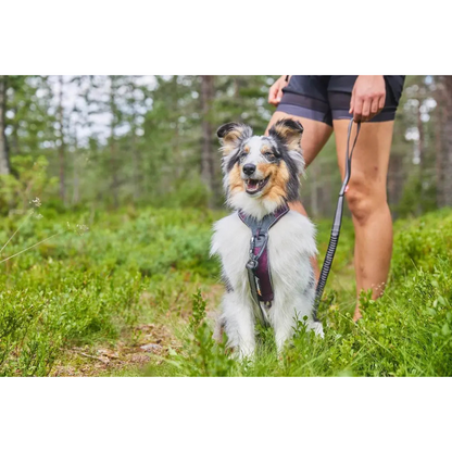 Im Wald unterwegs, voller Energie und Entschlossenheit – der perfekte Moment, eingefangen in einer Szene, die die enge Verbindung zwischen Mensch und Hund widerspiegelt. Mit dem Non Stop Hundegeschirr ist dein Hund optimal ausgestattet, um alle Abenteuer sicher zu erleben. Es bietet nicht nur hervorragende Kontrolle, sondern auch höchsten Komfort für deinen Vierbeiner. Egal, ob beim Mantrailing, auf langen Wanderungen oder im Training – dieses Geschirr ermöglicht deinem Hund maximale Bewegungsfreiheit und S